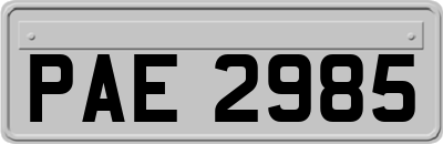 PAE2985