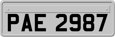 PAE2987