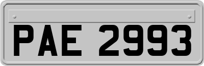 PAE2993