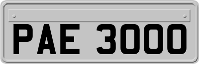 PAE3000