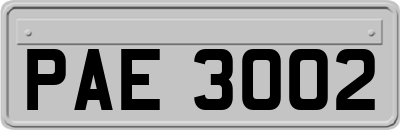 PAE3002