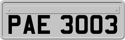 PAE3003