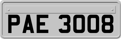 PAE3008
