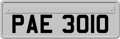 PAE3010
