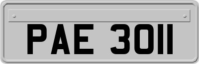 PAE3011