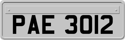 PAE3012