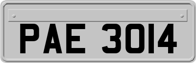 PAE3014