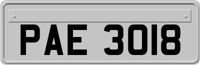 PAE3018