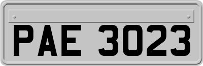 PAE3023