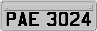 PAE3024