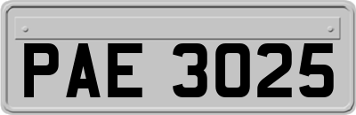 PAE3025