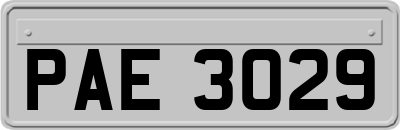 PAE3029