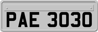 PAE3030