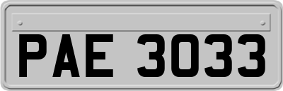 PAE3033
