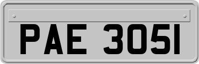 PAE3051