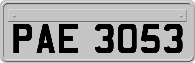 PAE3053