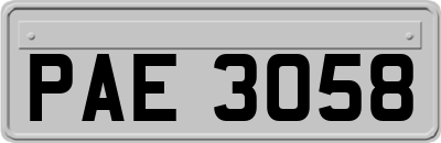 PAE3058