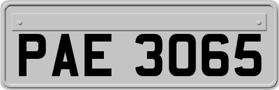 PAE3065