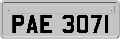 PAE3071