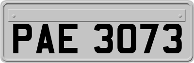 PAE3073