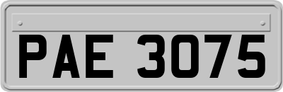PAE3075