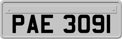 PAE3091