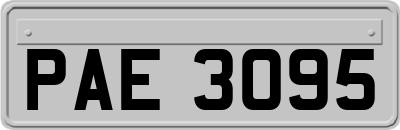 PAE3095