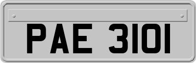 PAE3101