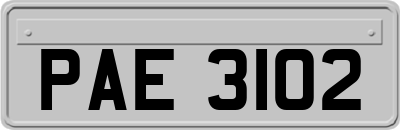 PAE3102