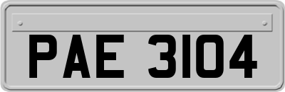 PAE3104