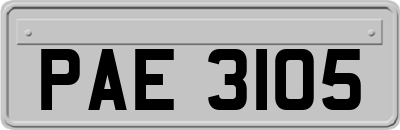 PAE3105