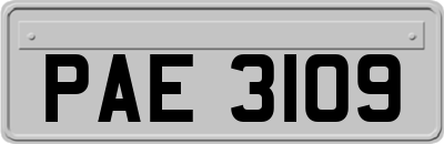 PAE3109