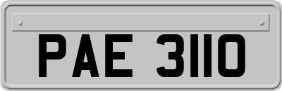 PAE3110