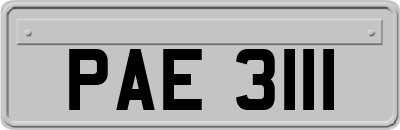 PAE3111