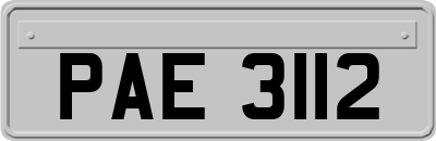 PAE3112