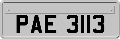 PAE3113