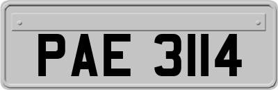 PAE3114