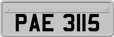 PAE3115