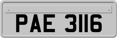 PAE3116