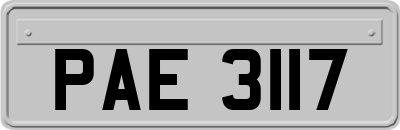 PAE3117