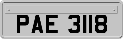 PAE3118