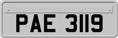 PAE3119