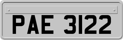 PAE3122