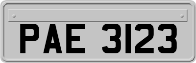 PAE3123