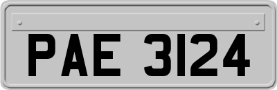 PAE3124