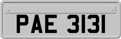 PAE3131