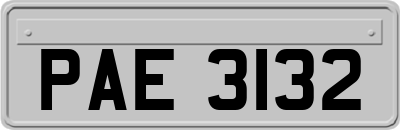 PAE3132