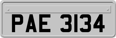 PAE3134