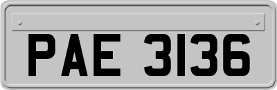 PAE3136