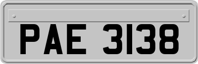 PAE3138